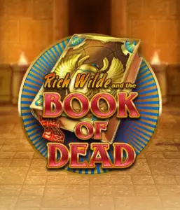 Погрузитесь в захватывающий мир Book of Dead от Play'n GO, демонстрирующий яркую графику путешествия Рича Уайлда по древнеегипетским гробницам и артефактам. Откройте затерянные богатства с пленяющими механиками, такими как бесплатные вращения, расширяющиеся иконки и возможность игры на риск. Идеально для исследователей, желающих захватывающих открытий.